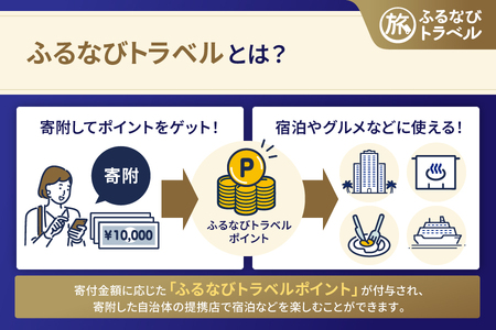【新潟旅行・宿泊無期限】旅行ポイント新潟県ふるなびトラベルポイント
