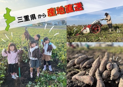 北山さんちのさつまいも 紅はるか 2kg さつまいも サツマイモ 薩摩芋 いも 芋 ほくほく 産地直送 新鮮 野菜 季節の野菜 旬 直送