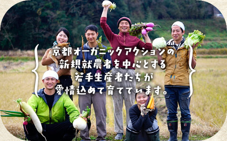 【6回定期便】有機京野菜セットＳ 野菜 野菜 野菜 野菜 野菜