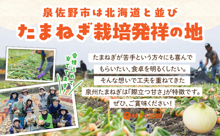 【TVで紹介！】射手矢さんちの泉州たまねぎ 10kg【家計応援 玉ねぎ タマネギ 玉葱 野菜 やさい 射手矢農園 高評価 期間限定】