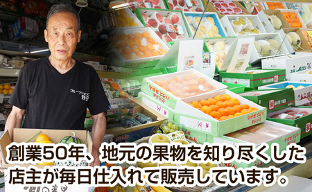 【0373-3】南国紀州・日高の太陽が育んだ季節のフルーツセットA【配送不可地域:沖縄・離島 】