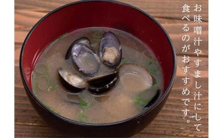 湖山池の大しじみ