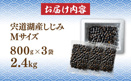 宍道湖産 冷凍大和しじみ 砂抜き済 Mサイズ800g×3袋(2.4kg) 島根県松江市/しじみ市場株式会社[ALDK002] しじみ しじみ しじみ しじみ しじみ しじみ しじみ 冷凍 冷凍 冷凍 冷凍 冷凍 冷凍 冷凍