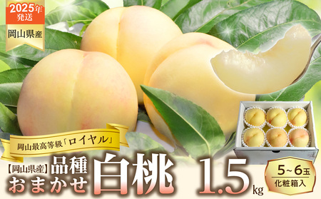 【令和７年発送分】岡山県産 白桃「ロイヤル」1.5kg（令和7年7月から8月発送）【 岡山県産 白桃 ロイヤル 晴れの国おかやま 】