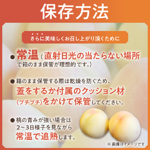 【令和７年発送分】岡山県産 白桃「ロイヤル」1.5kg（令和7年7月から8月発送）【 岡山県産 白桃 ロイヤル 晴れの国おかやま 】