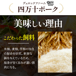 【農林水産大臣賞・受賞記念】◆四万十町産◆ブランド豚の3種ブロック詰め合わせ （3kgセット）豚肉 ロース バラ モモ ウデ 肩ロース 冷凍 ／Adf-68 豚肉 豚肉 豚肉 豚肉 豚肉 豚肉