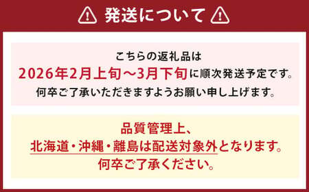 いちご「あまおう」 約270g×4パック 合計約1,080g 苺 果物 フルーツ 【2026年2月上旬～3月下旬順次発送予定】
