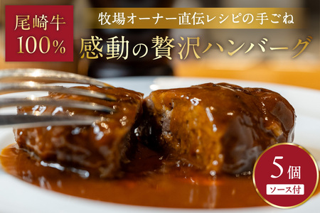 牧場オーナー直伝レシピの手ごね感動の贅沢ハンバーグ180g（ソース別）5個【069-0005】