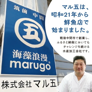 サクサクッ!　国産大粒カキフライ20粒【001-0066】