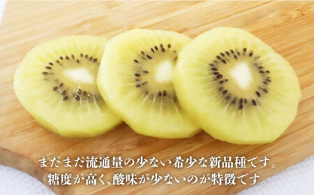 キウイ「甘うぃ」 約3kg＜一般社団法人地域商社ふるさぽ＞那珂川市 キウイ キウイ キウイ キウイ キウイ [GBX007]