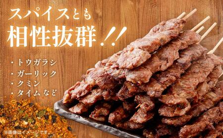 【羊肉専門店のバーベキュー素材】ラム串　３０本（約1.2kg） 北海道 ジンギスカン ヘルシー 焼肉 肉 バーベキュー ラム