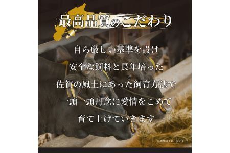 艶さし！佐賀産和牛切り落とし1.2kg(600ｇ×2ｐ）/黒毛和牛 牛肉 J1353