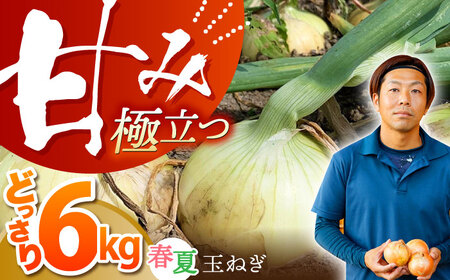 ＜先行予約＞江北町産 たまねぎ 約6kg [HAE008]佐賀 玉ねぎ たまねぎ 玉ネギ タマネギ