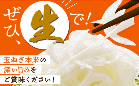 ＜先行予約＞江北町産 たまねぎ 約6kg [HAE008]佐賀 玉ねぎ たまねぎ 玉ネギ タマネギ