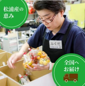 道の駅松浦海のふるさと館『旬のお野菜＋産みたて濃厚玉子6個』の大満足セット！( 野菜 やさい 野菜 セット 旬 セット 生野菜 たまご 卵 玉子 )【A7-052】