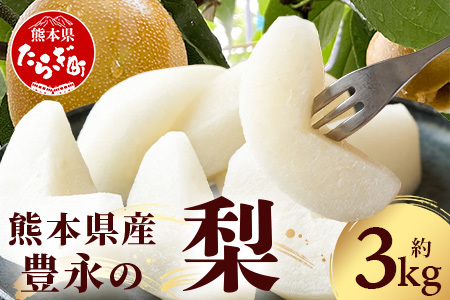 先行予約【7月下旬～発送分】熊本県産 梨 約3kg 幸水梨 幸水 新高梨 新高 新興梨 新興 豊水梨 豊水 秋月梨 秋月 秋麗梨 秋麗 果物 くだもの フルーツ 旬 旬の果物 旬 フルーツ 甘い ジューシー 梨 フルーツ 梨 フルーツ 梨 フルーツ 梨 フルーツ 熊本県 熊本県産 多良木 多良木町 070-0593