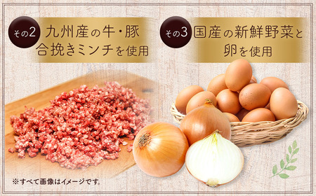 豆腐ハンバーグセット100g×15個入