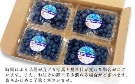 【訳あり】 熊本県 あさぎり町産 手摘み ブルーベリー 生果実 約1kg 熊本県産 ブルーベリー フルーツ【発送時期：2025年６月下旬～8月中旬】