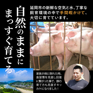 延岡よっとんロースブロック約1kg N003-YZA326-1
