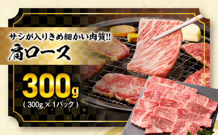 オンライン決済限定【令和7年6月配送】宮崎牛 赤身 霜降り 焼肉 3種 食べ比べ セット 合計900g 数量限定 肉 牛肉 黒毛和牛 国産 A4 A5 おすすめ 肩ロース モモ ウデ 食品 おかず 晩ご飯 お弁当 BBQ 焼き肉 贅沢 ご褒美 ギフト 贈り物 プレゼント 冷凍 選べる配送月 宮崎県 日南市 送料無料_CD64-24-06