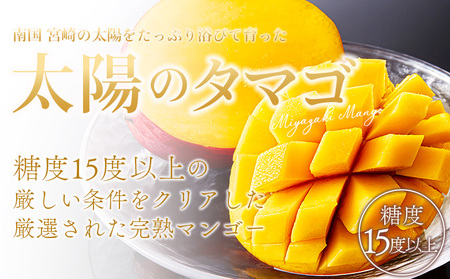 ＜宮崎県産完熟マンゴー 太陽のタマゴ 2L 合計2玉＞入金確認後、2025年7月初旬迄に順次出荷【選べる 大きさ サイズ 国産 かんじゅく とろける 果物 果実 フルーツ 南国 芳醇 甘い 旬 濃厚 贈り物 プレゼント（株）ワールドワイドトレード 宮崎県 国富町】【 b0957_ww】