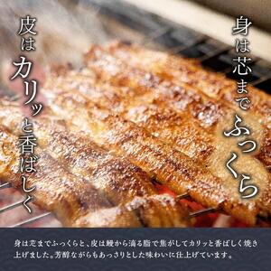 【丑の日用】ひむか 山道うなぎ 蒲焼 5尾分 (650g以上) 【国産 九州産 宮崎県産 うなぎ ウナギ 鰻 鰻の蒲焼き 蒲焼 】 