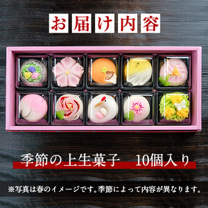 i246 季節の上生菓子セット(10個) お菓子 和菓子 生菓子 四季 ギフト 贈り物 和スイーツ お祝い 個包装 冷凍 【リッチモン松元】