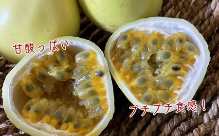 種子島 黄色い パッションフルーツ さご農園 (20個入り)　NFN600 【450pt】 // 夏期限定 安心・安全