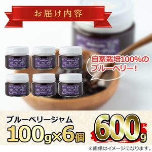 【12161】贅沢な国産ブルーベリージャム(100g×6個・計600g)ジャム 瓶 果物 果実 フルーツ パン【村山製油】