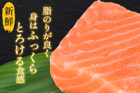 ノルウェー産 アトランティックサーモン 総重量 1kg (正味重量850g) [カネダイ 宮城県 気仙沼市 20565509] 魚 魚介類 サーモン 刺身 アトランティック アトラン 小分け 冷凍 鮭 さけ 訳あり ノルウェー