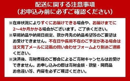 【150g×40食】 パックごはん 低温製法米のおいしいごはん アイリスオーヤマ アイリスフーズ  国産米100％ レトルト ご飯 ごはん パックごはん パックご飯 非常食 防災 備蓄 防災食 一人暮らし 仕送り レンチン