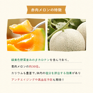 【2025年7月中旬より発送】ふらの 赤肉 メロン 約2kg×2玉 北海道 富良野市 (JAふらの) メロン フルーツ 果物 新鮮 甘い 贈り物 ギフト 道産 ジューシー おやつ ふらの ブランド 夏 