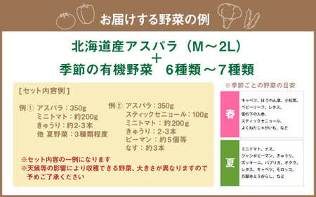 北海道産アスパラと季節の有機野菜セット 【2025年4月下旬～8月下旬迄発送予定】 北海道 北広島市 野菜セット アスパラ 有機野菜 