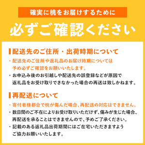 2025年出荷分 《先行予約》福島県産 さちあかね 約3kg 特秀 糖度12度以上 透過式光センサー選別 2025年8月中旬～2025年9月中旬発送 先行予約 予約 伊達の桃 固め 桃 もも モモ 果物 くだもの フルーツ 国産 食品 F20C-352