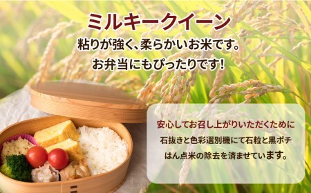 令和6年産 茨城県産 ミルキークイーン 精米2kg｜ミルキークイーンは粘りが強くかつ柔らかいお米。冷めても美味しいもちもちなお米でお弁当にぴったり！ ※離島への配送不可 ※2024年9月下旬～2025年8月上旬頃より順次発送予定 ミルキークイーン 米 お米 精米 白米 ご飯 ふっくら お弁当  2kg 送料無料 ブランド米 ミルキークイーン