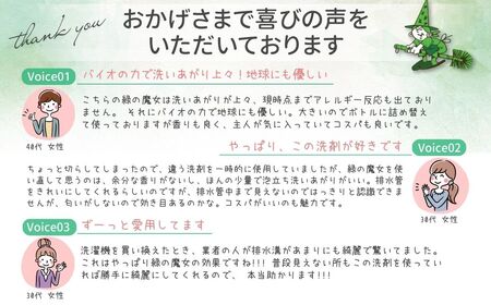 排水口もスッキリ 緑の魔女ランドリー 15L | 洗濯洗剤 洗濯洗剤 洗濯洗剤 洗濯洗剤 洗濯洗剤 