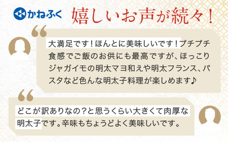 ☆TVで紹介されました☆ 明太子 かねふく 訳あり 1kg 特上 切れ子 辛子明太子 小分け 袋付き 切子 めんたいこ 魚介類 海鮮 魚卵 めんたいパーク わけあり 規格外 不揃い 傷 家庭用 有着色 冷凍 おかず ごはんのお供 人気 おすすめ ランキング _AM006