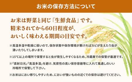 K2454C ＜2025年6月内発送＞令和6年産 茨城県産コシヒカリ無洗米 10kg (5kg×2袋) 【茨城県共通返礼品】