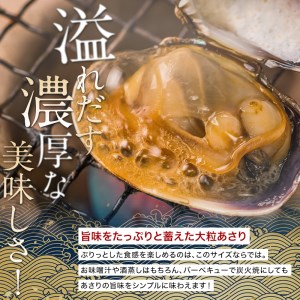 砂出し済 大粒の天然あさり1kg ふるさと納税 あさり F4F-0344