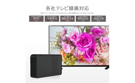 HDD 3.5インチ 外付け ハードディスク ドライブ MAL34000EX3-BK-AYASE(SHELTER) USB3.2(Gen1)対応 ブラック 4TB パソコン PC 外付けhdd 電化製品 テレビ パソコン周辺機器 パソコンパーツ PC周辺機器 PCパーツ 