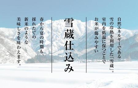 【令和7年産新米予約　頒布会】南魚沼産こしひかり無洗米2kg×全12回【2025年10月中旬以降順次発送予定】