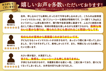 〈2025年度配送分〉至福の山梨県産シャインマスカット 2～3房（1.2kg以上）シャインマスカット  山梨 県産 2025年度 先行予約 甲府 市産 ぶどう フルーツ 果物 2～3房 冷蔵 1.2kg以上 種なし 大粒 高級 甘い 【2025年8月中旬～9月下旬頃にかけて順次発送】