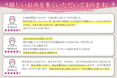 新鮮産直！甲州市・シャインマスカット3回定期便【2025年発送】（KSF）D5-125 【シャインマスカット 葡萄 ぶどう ブドウ 令和7年発送 期間限定 山梨県産 甲州市 フルーツ 果物】