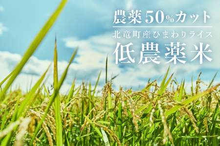【令和6年産  順次発送】 おぼろづき、ななつぼしのお米セット 計4kg 低農薬米 北海道北竜町産【0501-R6】