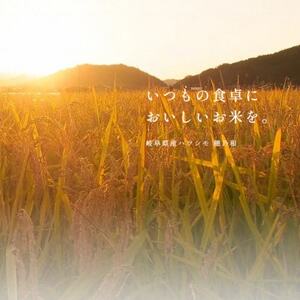 【先行予約】令和7年産　岐阜県産ハツシモ(精米)10kg_ 精米 米 _【配送不可地域：離島】【1540844】