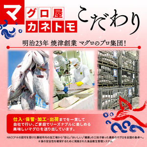 訳あり 天然 南マグロ 赤身 約600g 不定型柵 まぐろ 解凍 鮪 漬け マグロ ユッケ マグロ 海鮮 ミナミ マグロ ふるさと人気